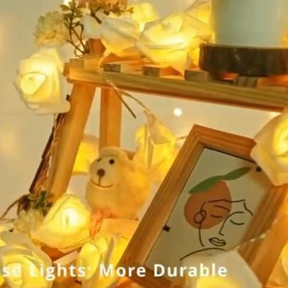 velure' roses and professional decoration